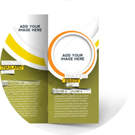 apple_graphic_brochure